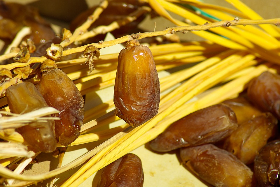 فوائد البلح